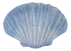 Ocean Nautical Marine Beach Aqua Blue Scallop Sea Shell Wall Plaque Decor 8.25"L-8