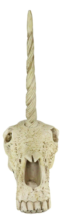 Fossil Unicorn Skull Rare Mythical Phantom Creature Skeleton Figurine-4