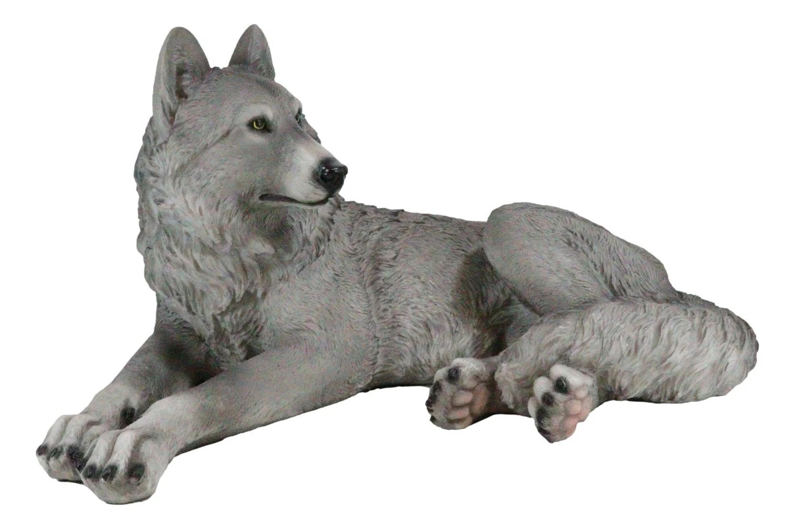 Figura decorativa de lobo solitario gris sabio descansando, paquete de Timberwolves-3
