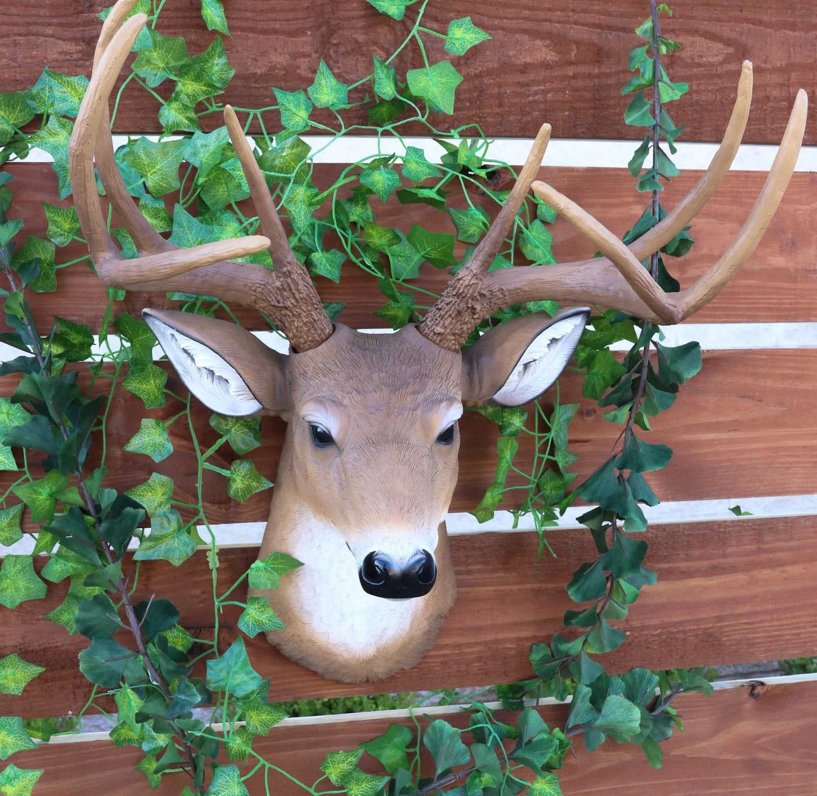 8 Point Buck Deer Bust Champion Wall Mount Sculpture Plaque Figurine 21"H
