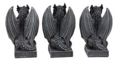 Three Wise Dragons See Hear Speak No Evil Sentinel Guardian Dragons Statue Set-4