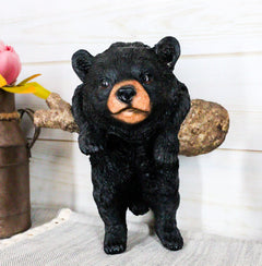 Rustic Western Forest Black Bear Cub Frolic Dangling On Tree Branch Wall Decor-2