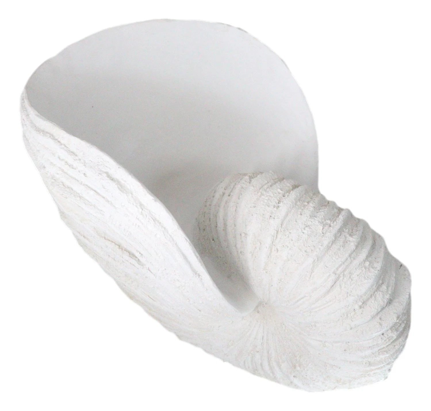 18.5"L White Nautical Marine Ocean Giant Nautilus Sea Shell Decorative Sculpture-8