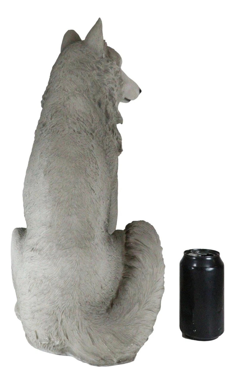 Estatua grande de lobo gris alfa sentado de Dakota Wildlife, 20,5" de alto-6