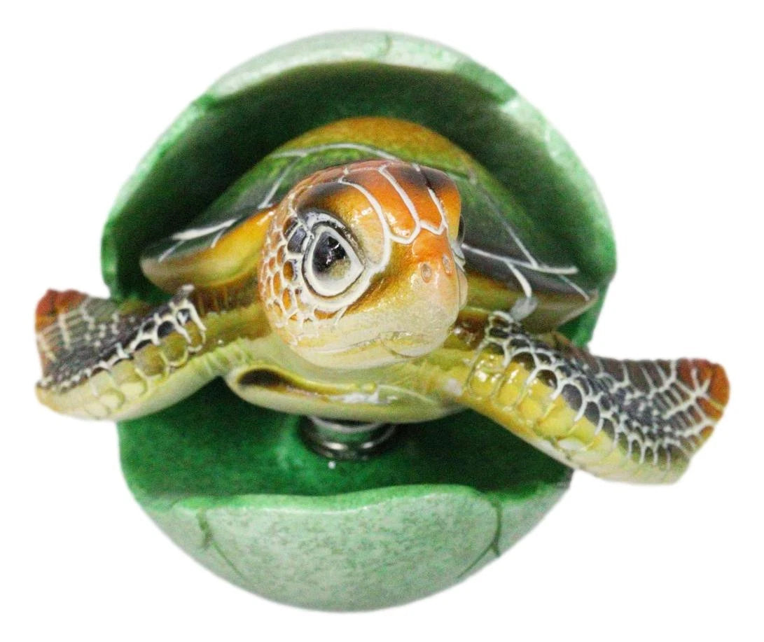 Green Nautical Marine Sea Turtle Hatchling Emerging Out of Egg Mini Figurine-5
