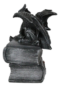 Medieval Fantasy Dragon Guardian of Knowledge Secret Trinket Box Figurine 8.25"H-7