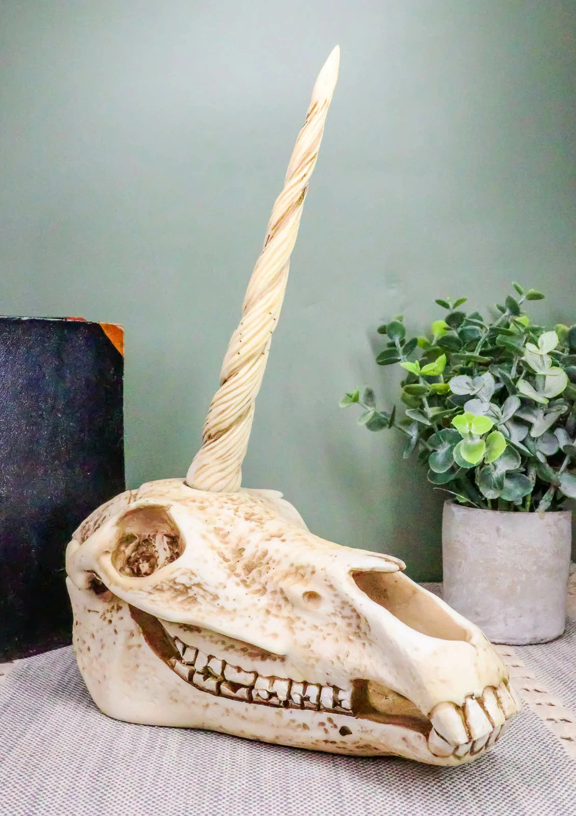 Fossil Unicorn Skull Rare Mythical Phantom Creature Skeleton Figurine