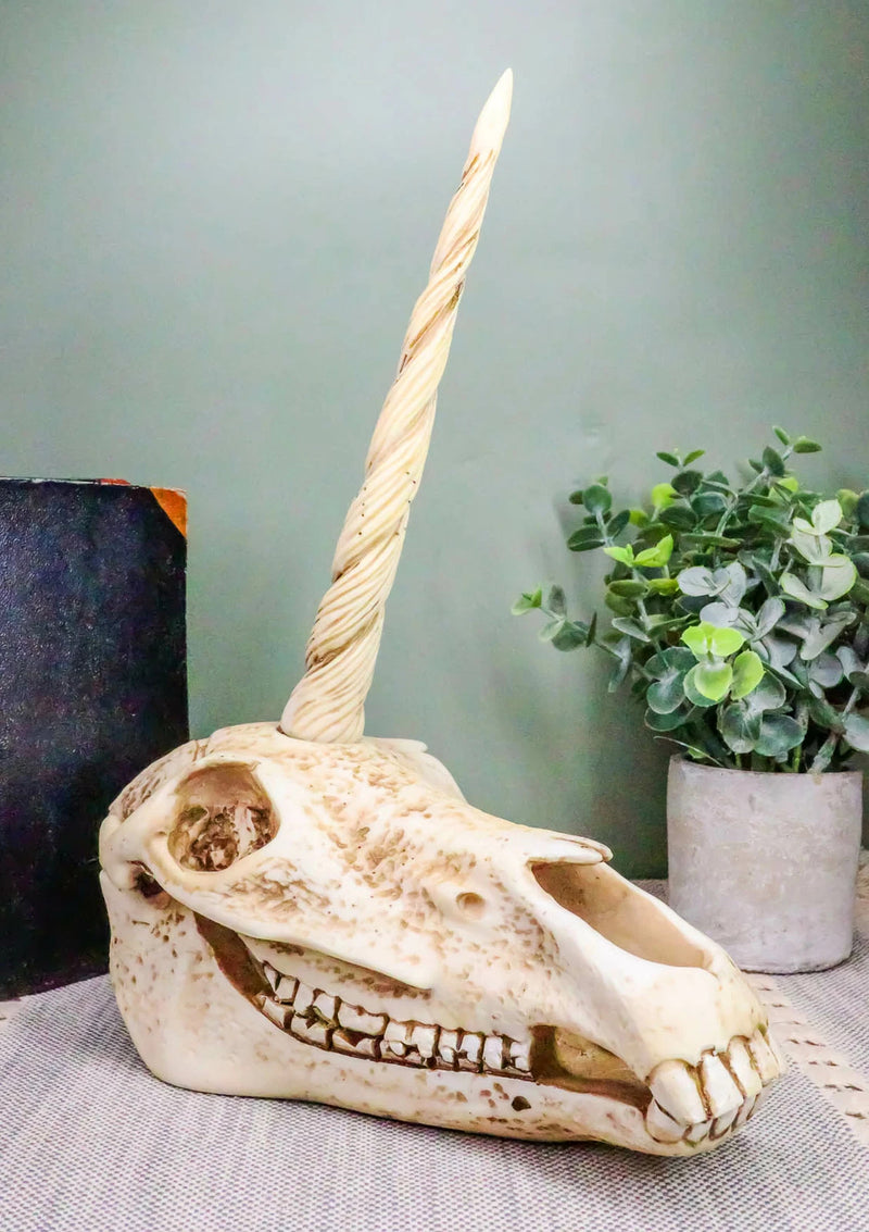 Fossil Unicorn Skull Rare Mythical Phantom Creature Skeleton Figurine-1