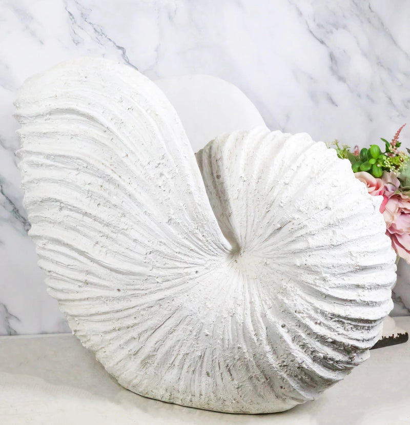 18.5"L White Nautical Marine Ocean Giant Nautilus Sea Shell Decorative Sculpture-1