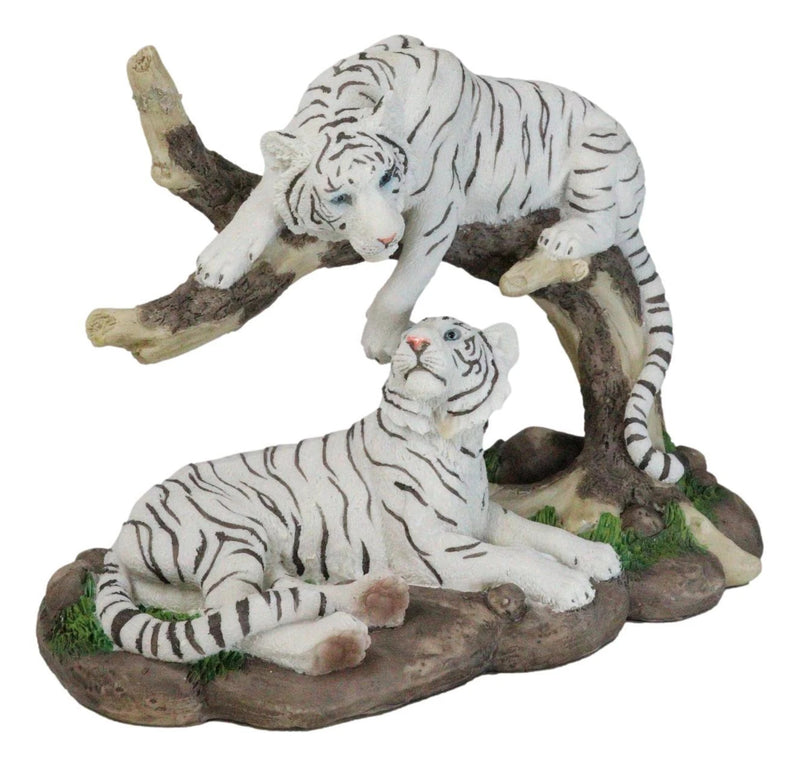 Figura de árbol curvado de pareja de tigres blancos de Bengala siberianos que retozan en la jungla-6