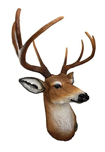 8 Point Buck Deer Bust Champion Wall Mount Sculpture Plaque Figurine 21"H-6