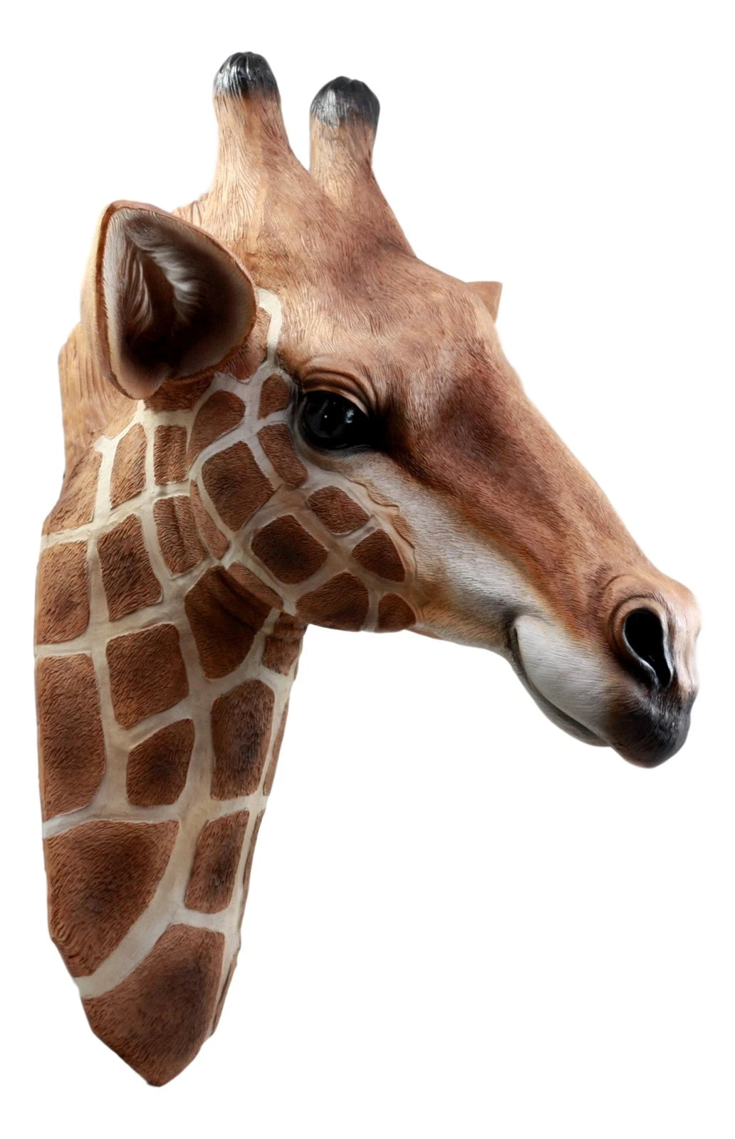 African Safari Long Necked Giraffe Head Wall Decor Scherezade Bust Figurine-9