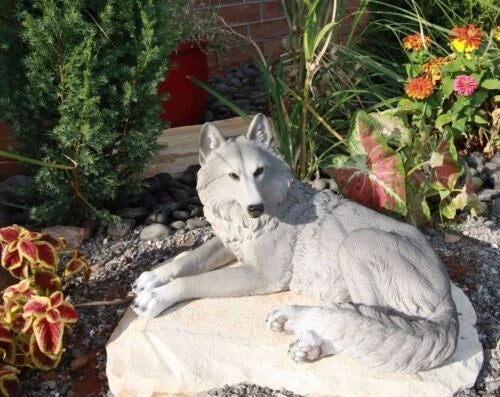 Figura decorativa de lobo solitario gris sabio descansando, paquete de Timberwolves