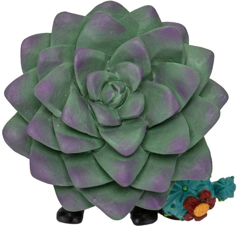 Furry Bones Echy The Succulent Plant Pot With Cactus Skeleton Figurine-7