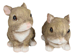 Set Of 2 Whimsical Cute Baby Bunny Rabbits Pet Pal Fairy Garden Figurines-5