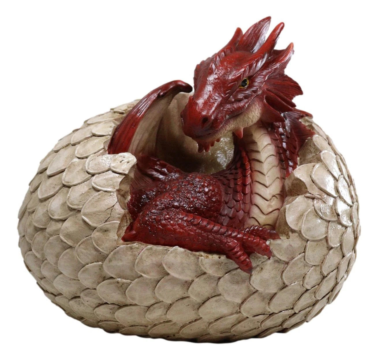 Large Smaug Red Baby Dragon Hatchling in Egg Statue 9.5" Long Dungeons Dragons-6