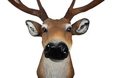8 Point Buck Deer Bust Champion Wall Mount Sculpture Plaque Figurine 21"H-7
