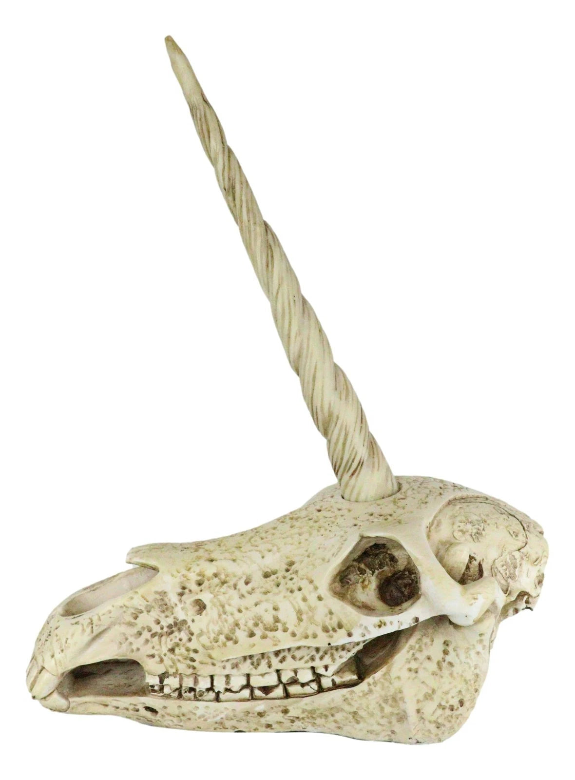 Fossil Unicorn Skull Rare Mythical Phantom Creature Skeleton Figurine-6