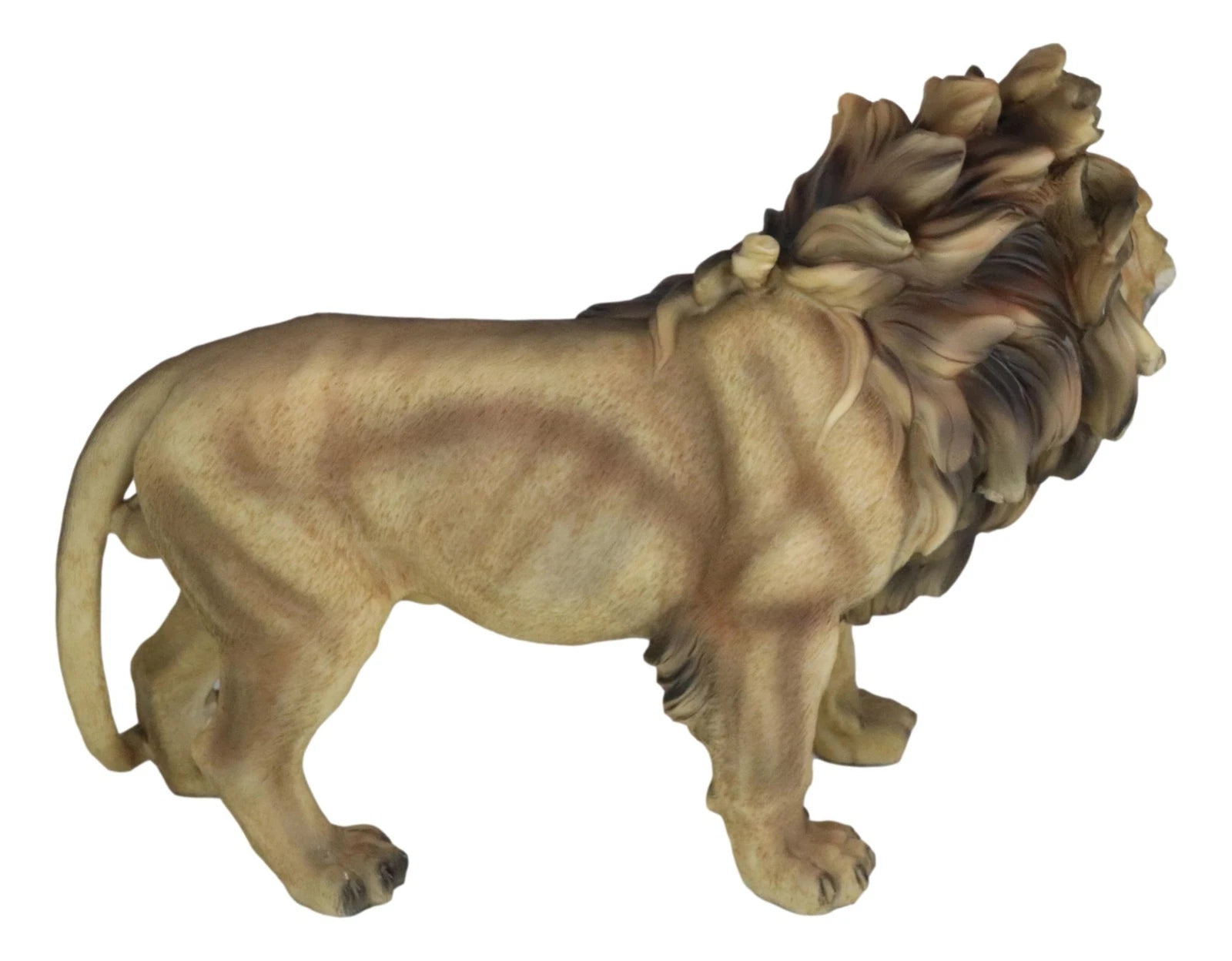Realistic African Lion King Of The Jungle Growling And Baring Teeth Statue 16"L-5