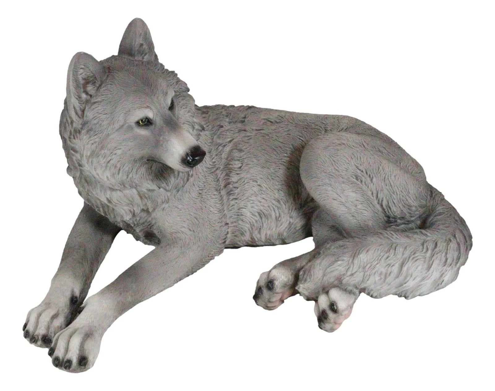 Figura decorativa de lobo solitario gris sabio descansando, paquete de Timberwolves-6