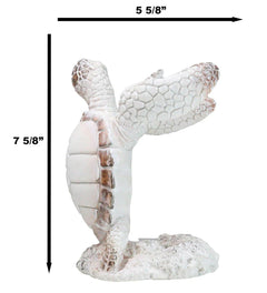 Nautical Marine Distressed Antique White Sea Turtle Wine Bottle Holder Figurine-7
