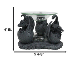 Fantasy Trio Gargoyle Dragons in Eggs Hatchling Candle Oil Burner Figurine-7