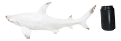 Nautical Ocean Marine Great White Shark Swimming Antiqued White Figurine 19.5"L-7