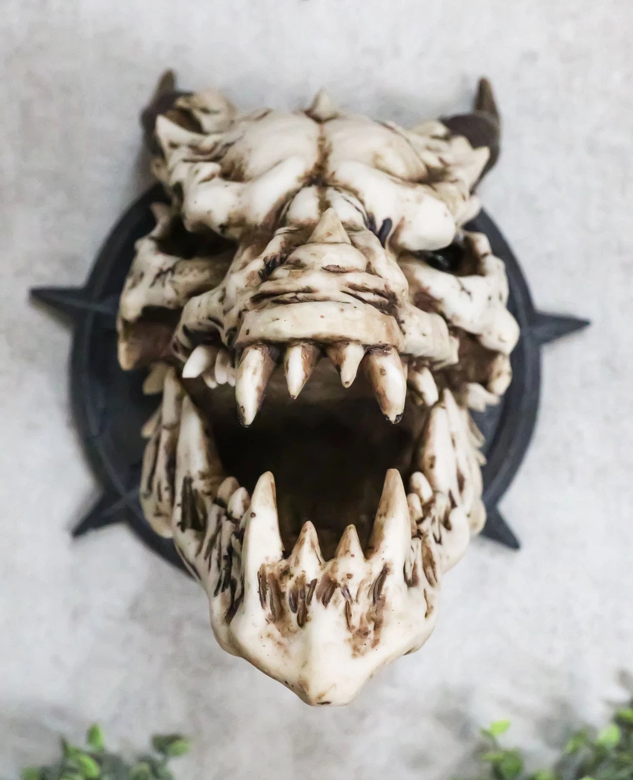 Large Chained Horned Dragon Skull Wall Trophy Decor Saint George Slain Dragon-6