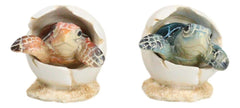 Pack Of 2 Marine Blue And Brown Sea Turtle Hatchlings In Egg Shells Figurines-8