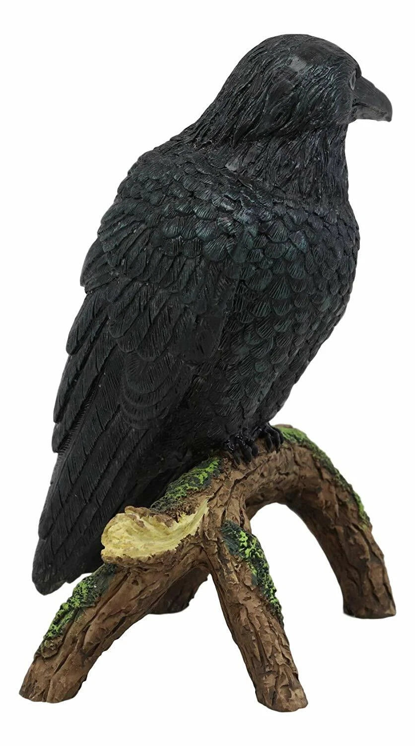 Gothic Raven Crow Perching On Tree Branch Scavenger Bird Figurine 5.75" High-4