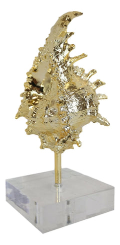 Nautical Marine Coral Golden Conch Large Sea Shell Sculpture With Acrylic Base-5