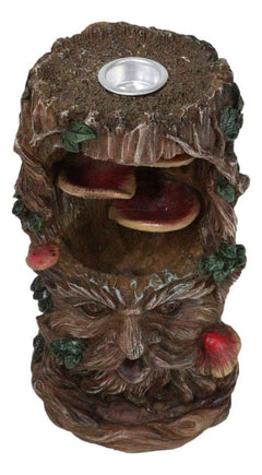 Forest Celtic Greenman Tree Ent With Fungi Pillar Backflow Incense Cone Burner-3