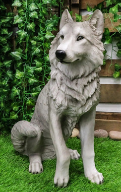 Estatua grande de lobo gris alfa sentado de Dakota Wildlife, 20,5" de alto-7