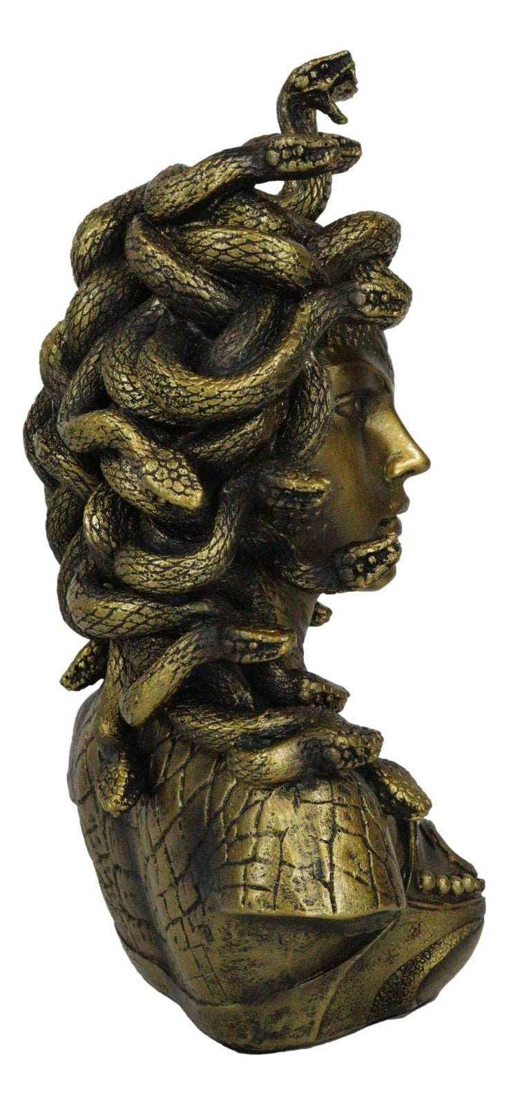 Greek Mythology Gorgon Sisters Goddess Medusa With Wild Snakes Hair Bust Statue-6