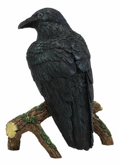 Gothic Raven Crow Perching On Tree Branch Scavenger Bird Figurine 5.75" High-5