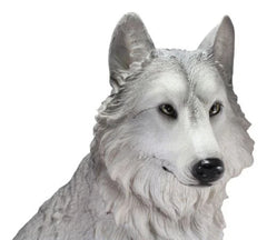 Estatua grande de lobo gris alfa sentado de Dakota Wildlife, 20,5" de alto-8