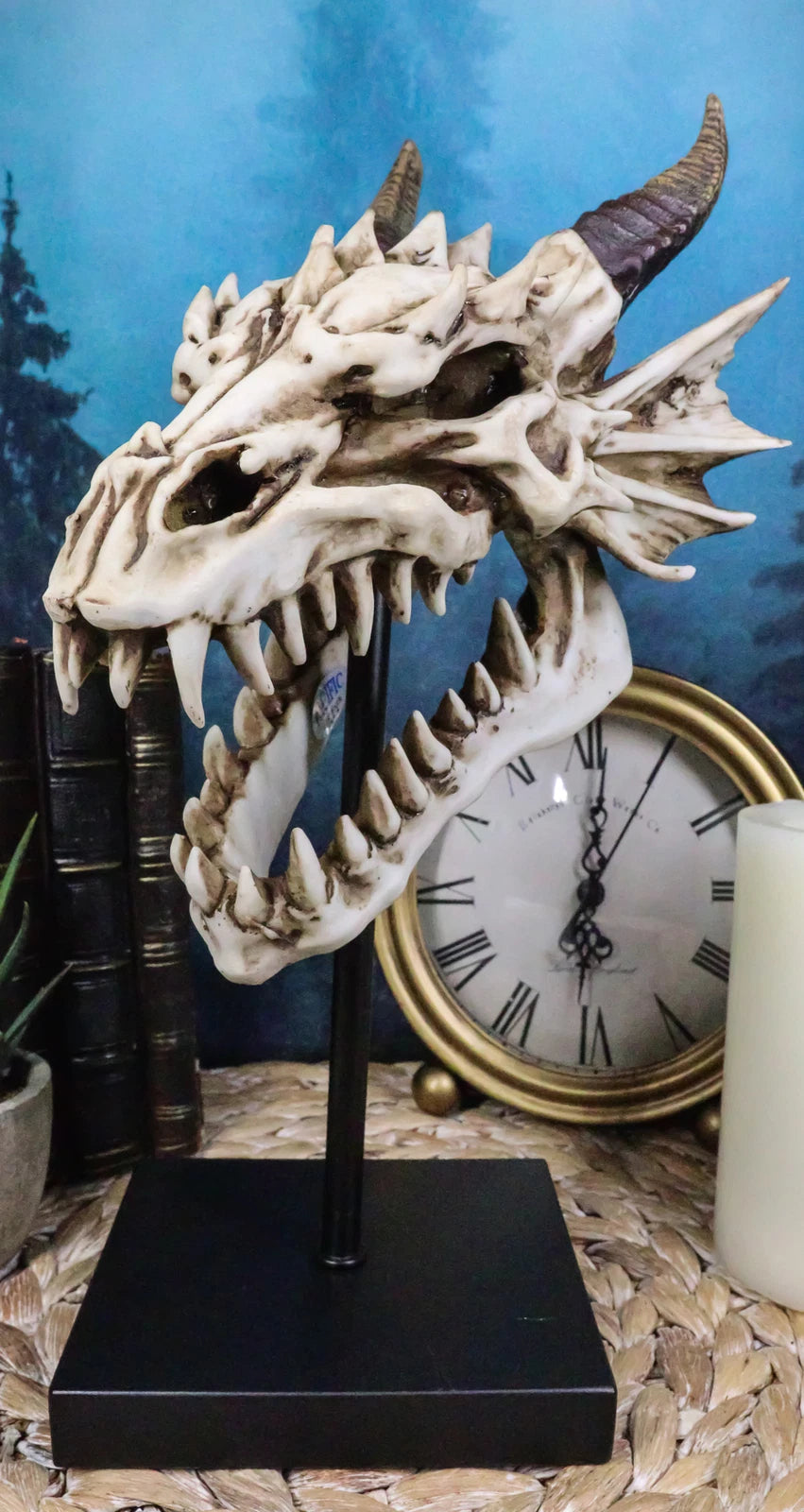 Figura de exhibición de cráneo de dragón de hueso de Terra feroz en soporte de museo, 30 cm-7