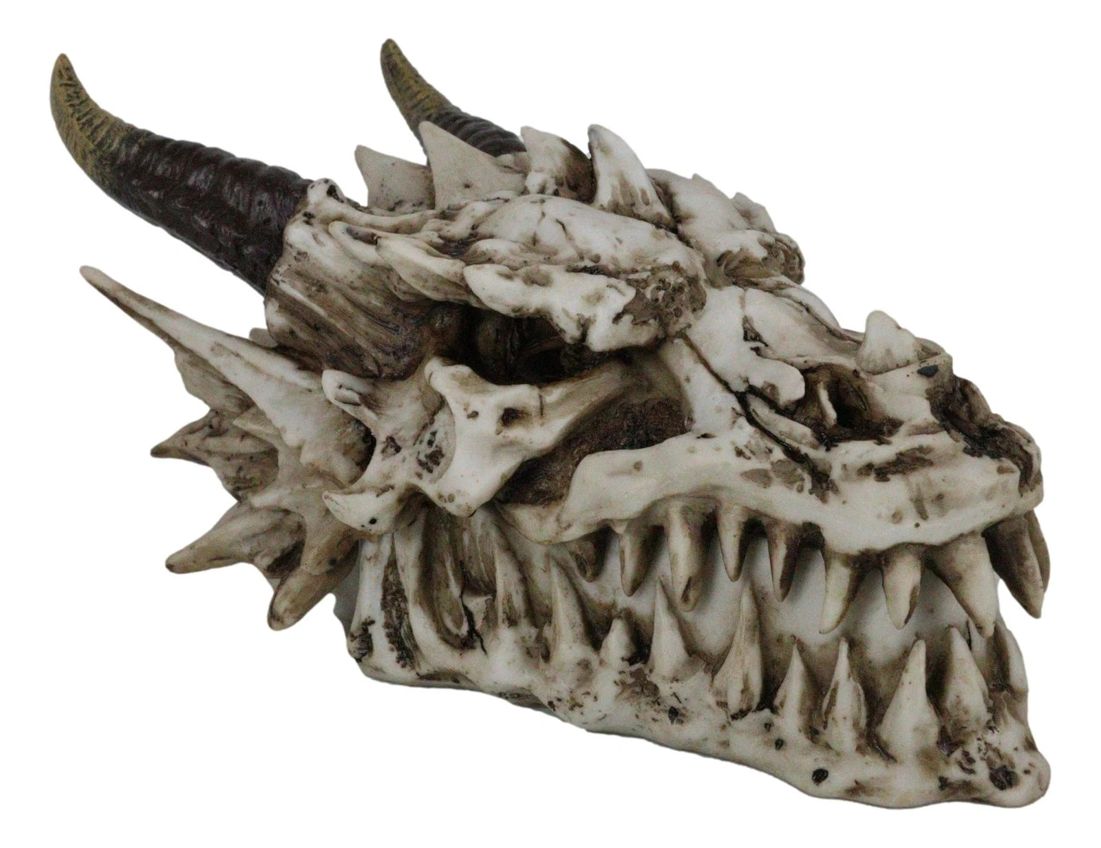 9"L Smoking Bone Skeleton Fossil Dragon Head Skull Incense Burner Box Statue-6