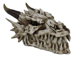 9"L Smoking Bone Skeleton Fossil Dragon Head Skull Incense Burner Box Statue-6