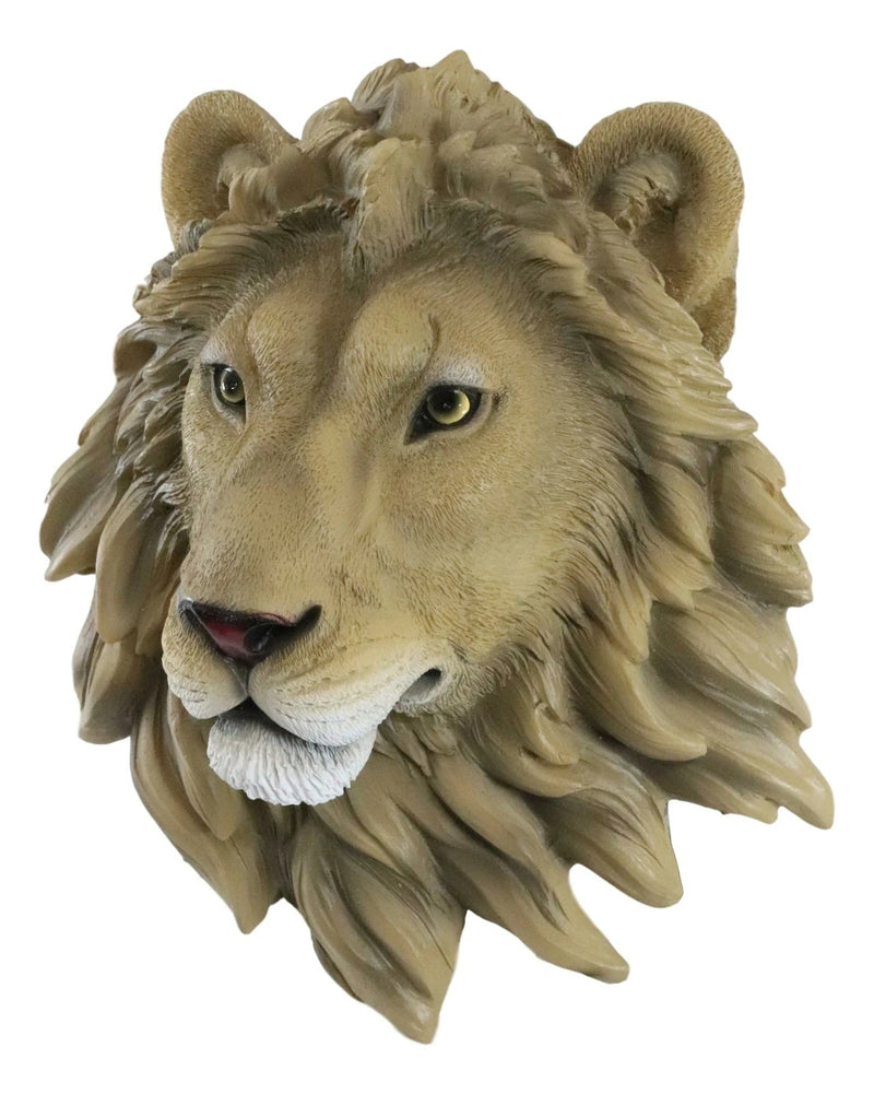 Safari King Of The Jungle Lion Head Wall Plaque 9.25"Tall Taxidermy-8