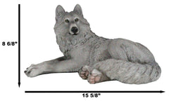 Figura decorativa de lobo solitario gris sabio descansando, paquete de Timberwolves-7