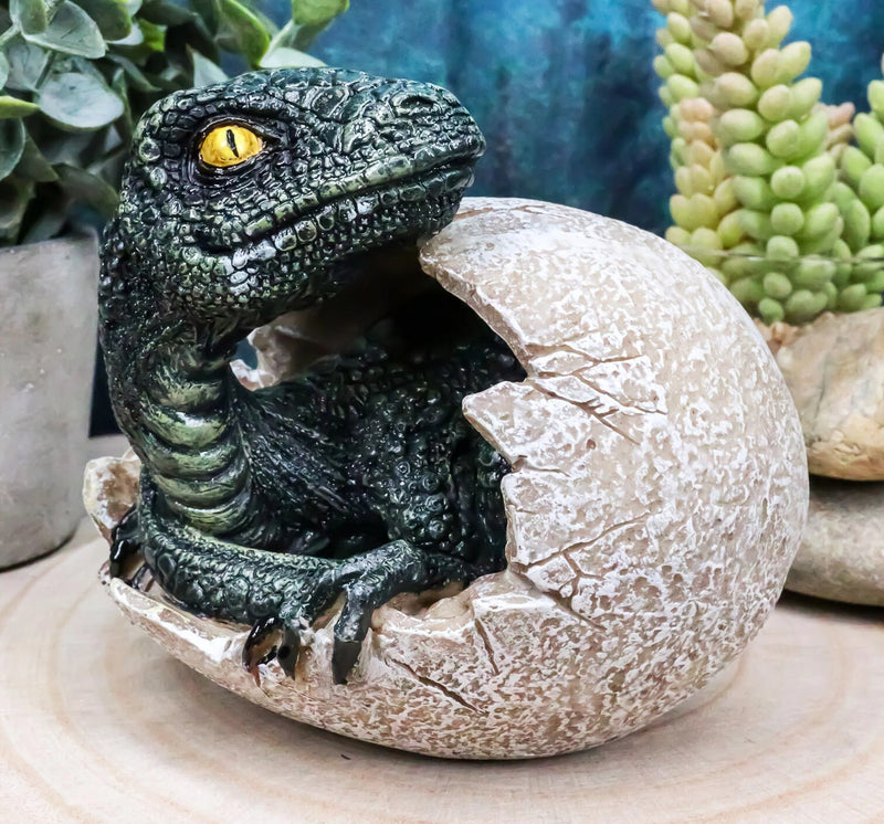 Figura de huevo de dinosaurio depredador de la era jurásica, cría de velociraptor de 10 cm de alto-8