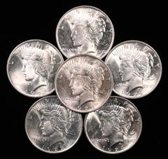 Dólares de Plata de la Paz Brillantes Sin Circular-1