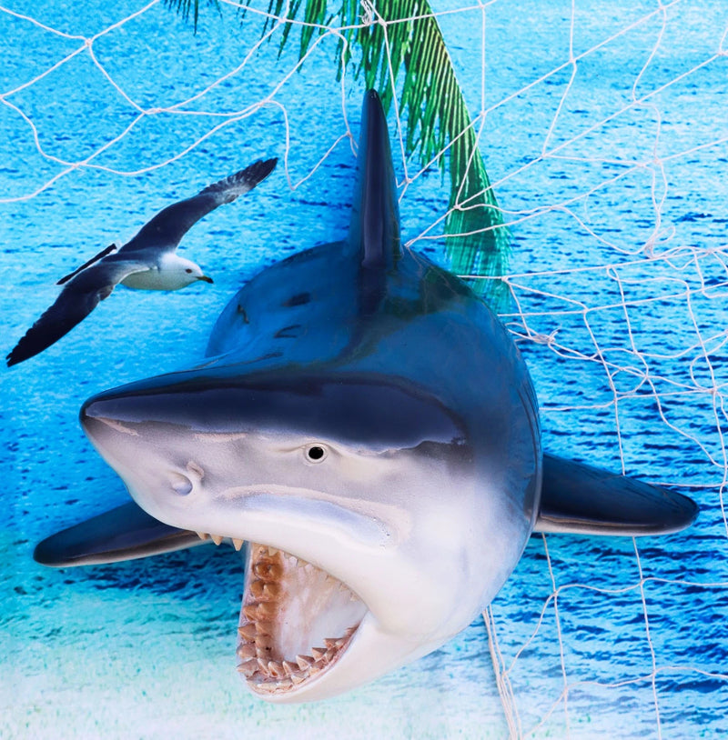Beware of Great White Shark Jaws Mako Predator Wall Mount Plaque Figurine Decor-1