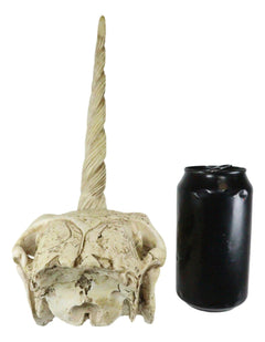 Fossil Unicorn Skull Rare Mythical Phantom Creature Skeleton Figurine-8