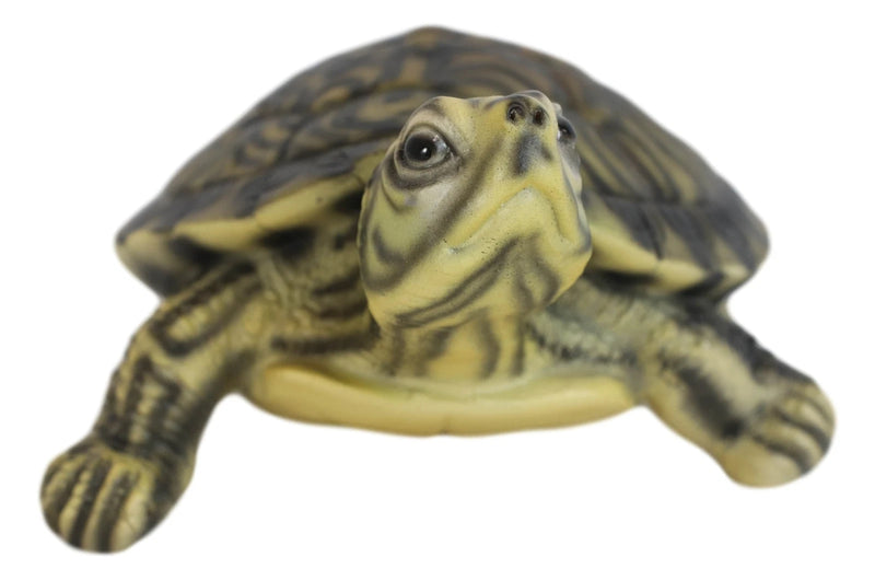 Lifelike Yellow Bellied Slider Turtle Tortoise Figurine 4.75"L Zen Feng Shui-6