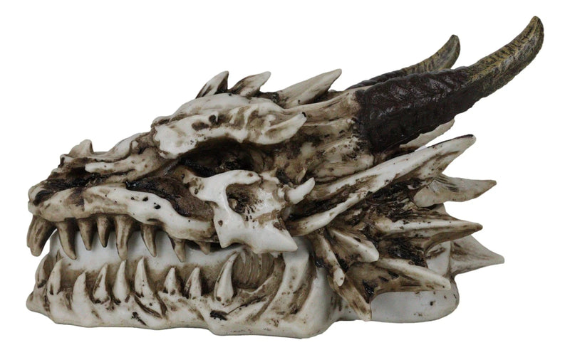 9"L Smoking Bone Skeleton Fossil Dragon Head Skull Incense Burner Box Statue-7