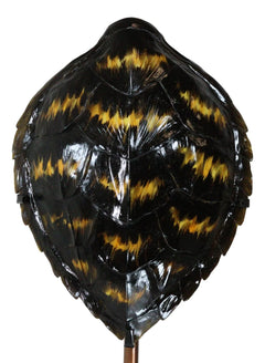 Nautical Marine Black Tone Faux Hawksbill Turtle Shell Sculpture With Pole Stand-9