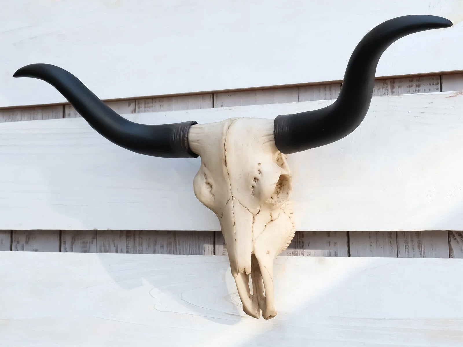 Texas Longhorn Steer Cattle Cow Skull Wall Hanging Plaque Figurine 21"L-9