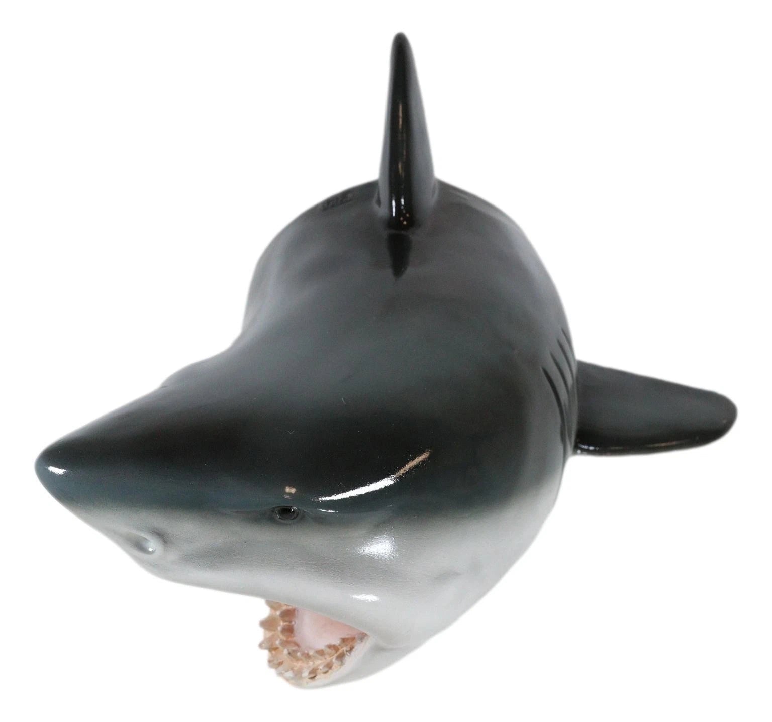 Beware of Great White Shark Jaws Mako Predator Wall Mount Plaque Figurine Decor-8